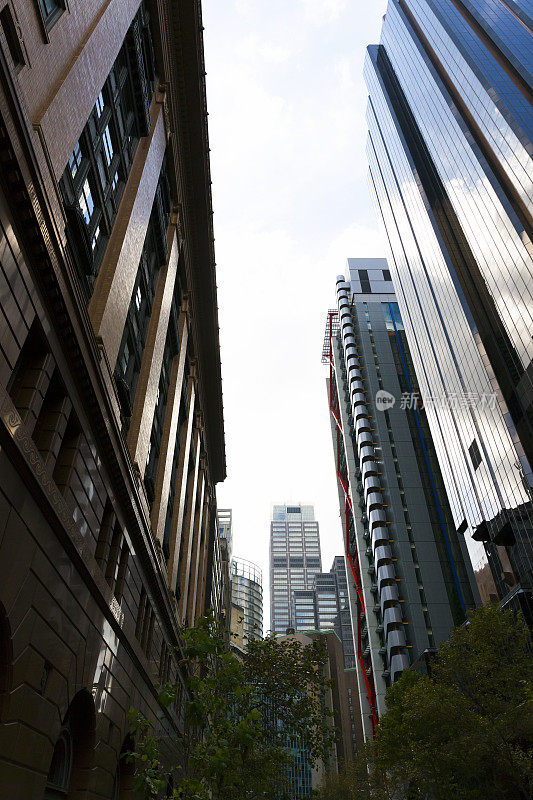 澳大利亚悉尼的城市写字楼摩天大楼，低角度视野