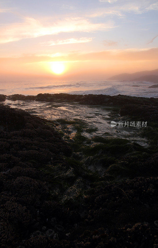 浸泡岸边