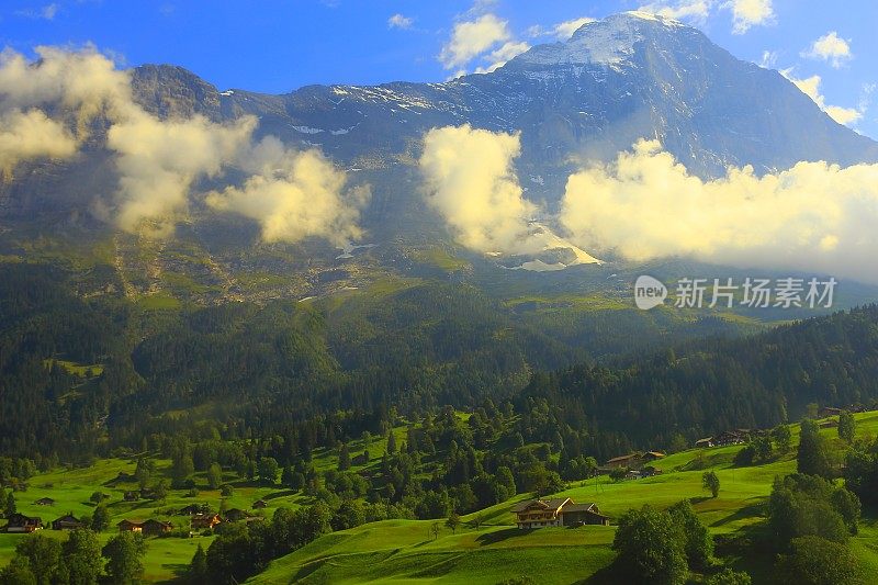 瑞士阿尔卑斯山艾格尔山脉下格林德沃小屋上方田园诗般的草地