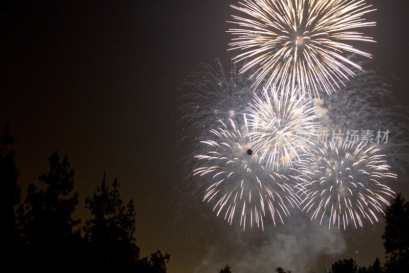 7月4日的烟花庆典，圣诞节和新年