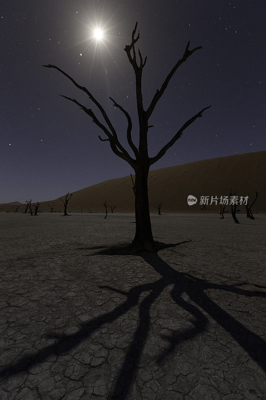 Deadvlei、纳米比亚