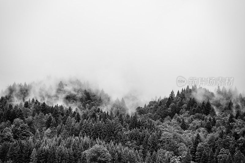 云中阿尔卑斯山山脉的全景