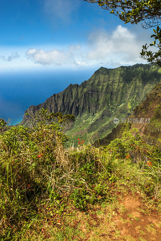 Kalalau山谷,考艾岛