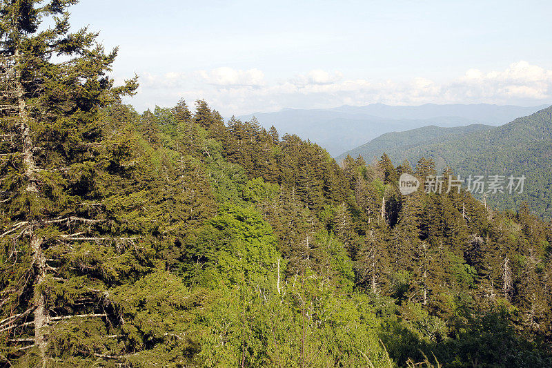 斯莫基山脉