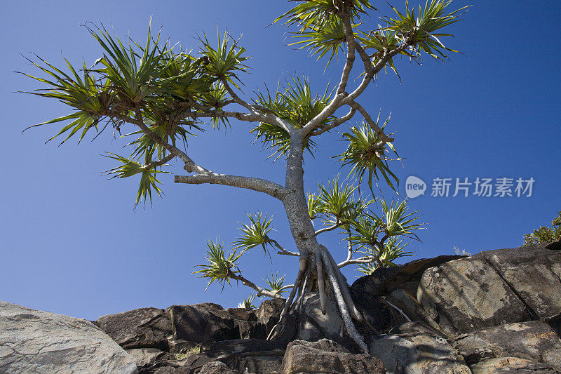 阳光海岸