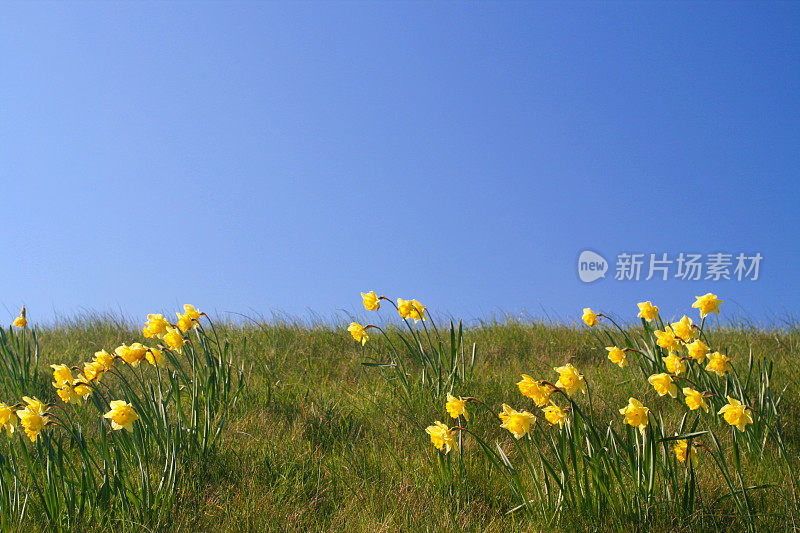 夏天即将来临