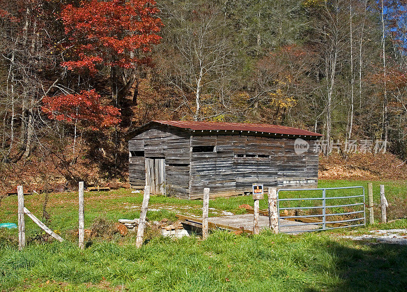 旧风化的谷仓和栅栏在秋天