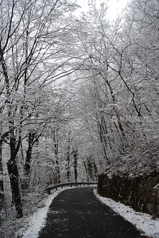 冬雪系列