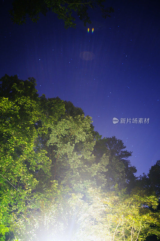 星星在夜晚的天空，在树和房子上面