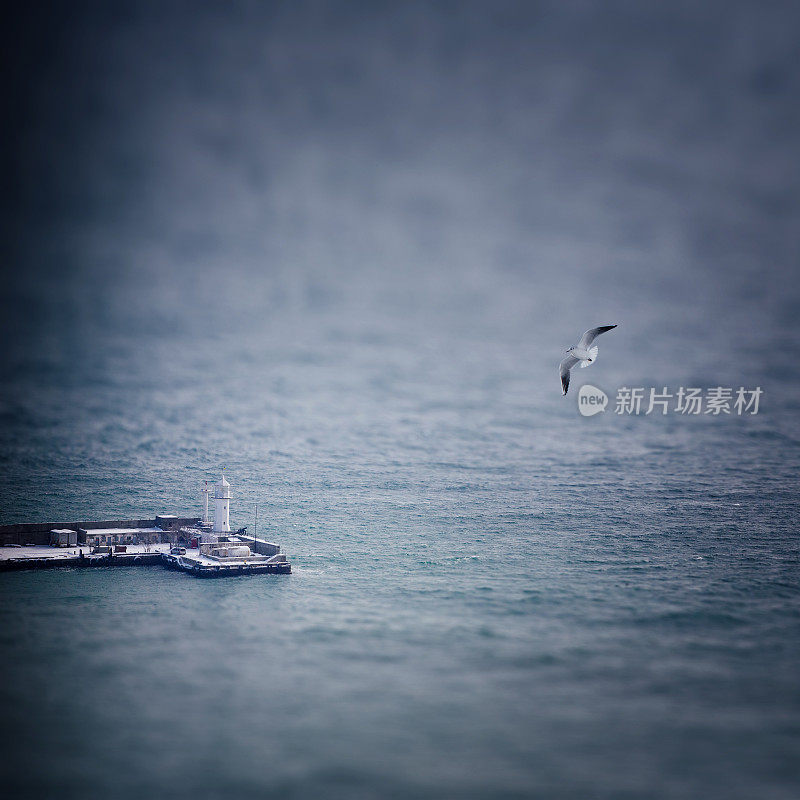 有海鸥和灯塔的冬季海景