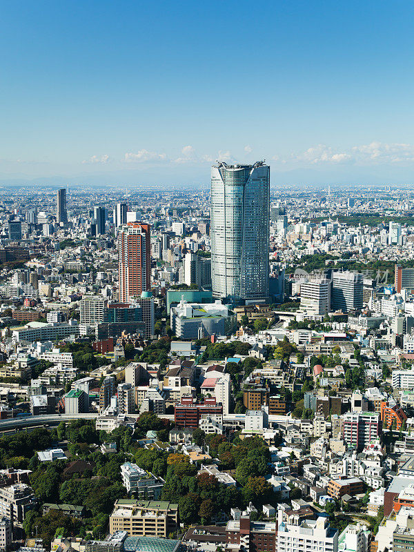 日本东京市中心城市景观