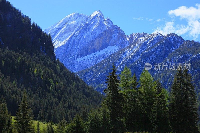 白云石高山景观，绿色松树山谷，科尔蒂纳，南泰洛