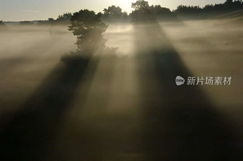 清晨降临在荒野上