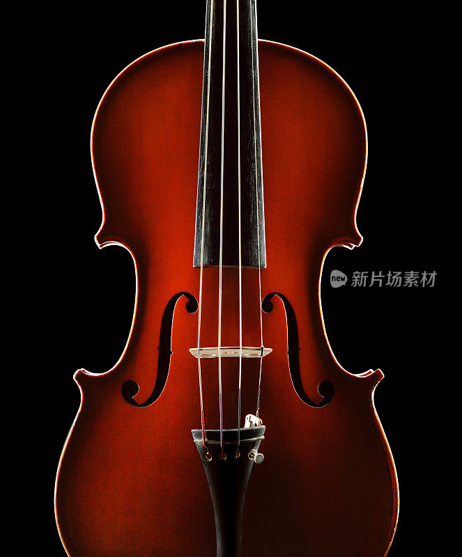 小提琴(XXXL大小)