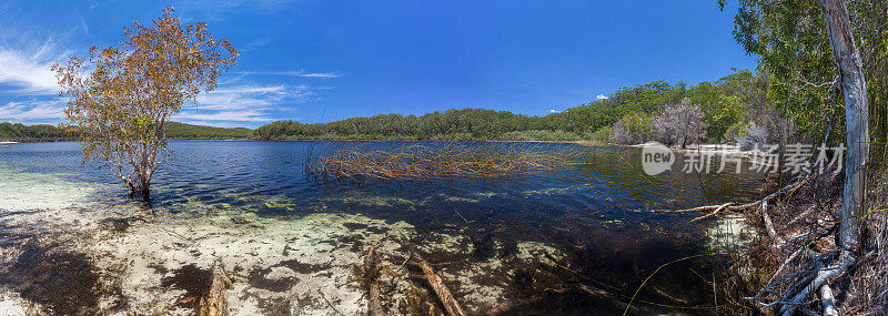 麦肯齐湖的全景在弗雷泽岛，昆士兰，澳大利亚