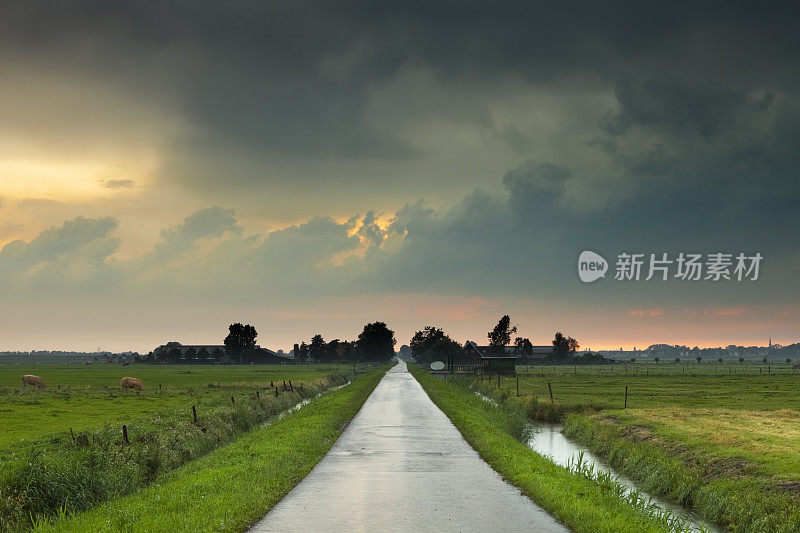 暴风雨过后穿过荷兰乡村的道路