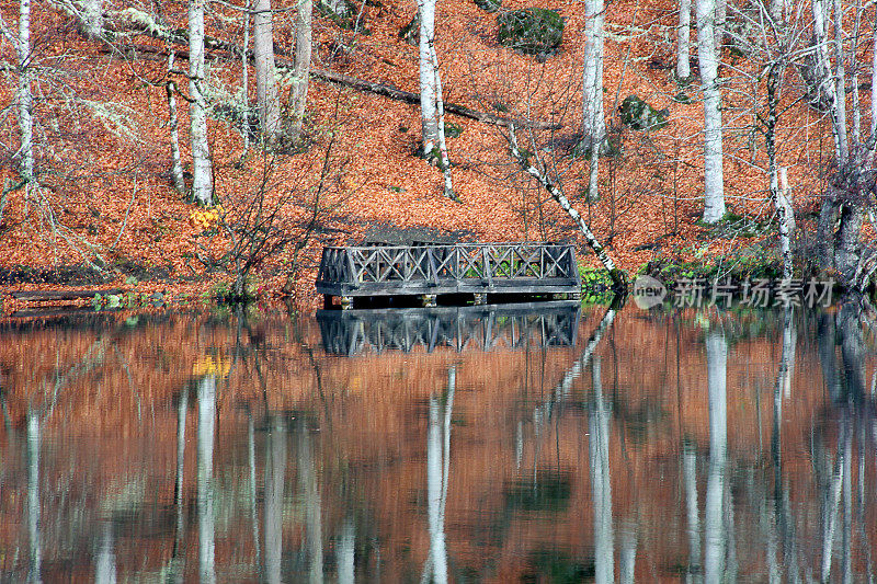 秋天的树木倒映在湖面上的风景