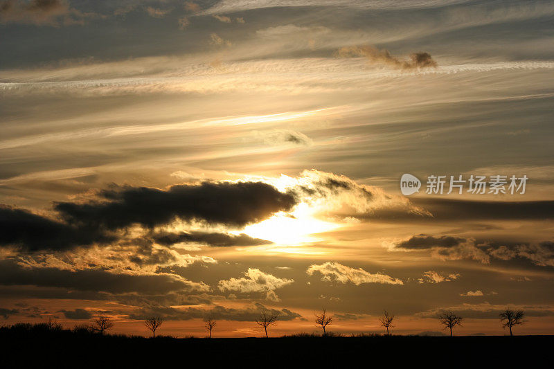 冬天的夕阳后面是一排树