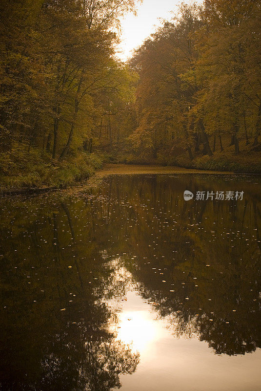 黄昏时分的秋林中鱼塘的景观形象