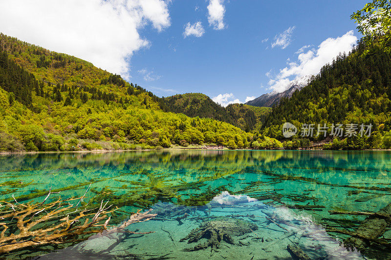 中国四川九寨沟的湖泊