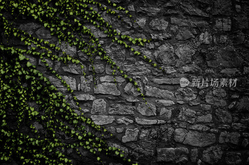 黑色的石墙和绿色的植物蒸气