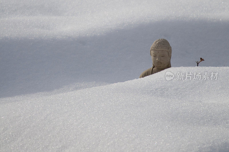 佛陀在雪中