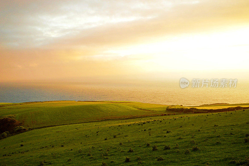 黎明时分英格兰康沃尔风景优美的草地