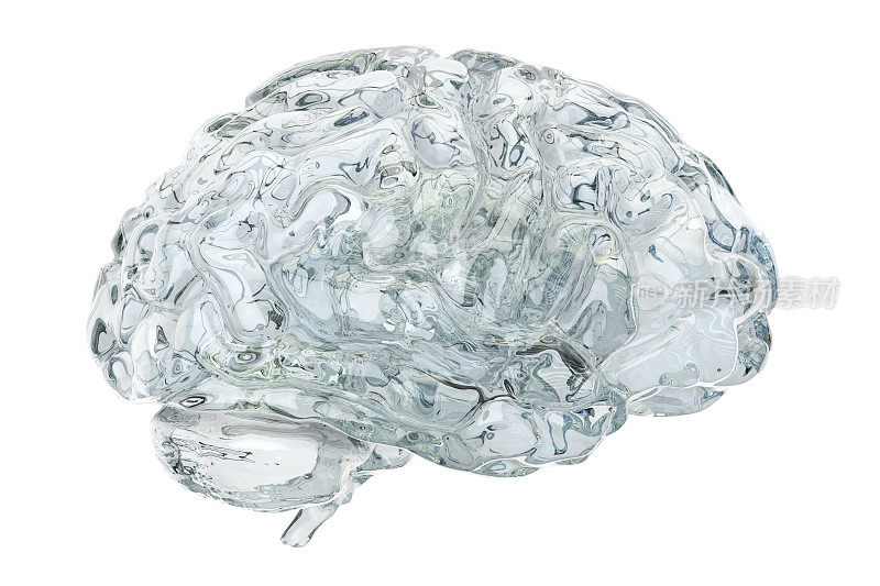 玻璃透明的大脑，3D渲染孤立的白色背景