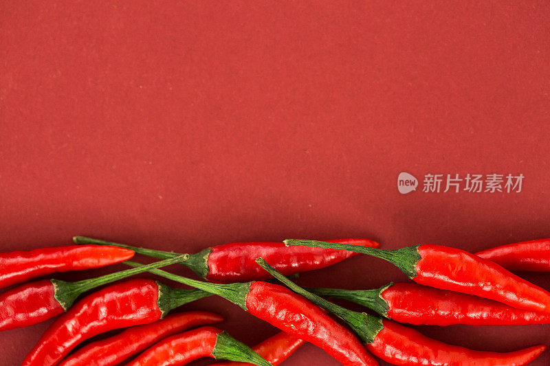 红辣椒，流行的香料概念-拼贴一些美丽的红辣椒豆荚孤立在红色背景，俯视图，平躺，自由空间为您的文字