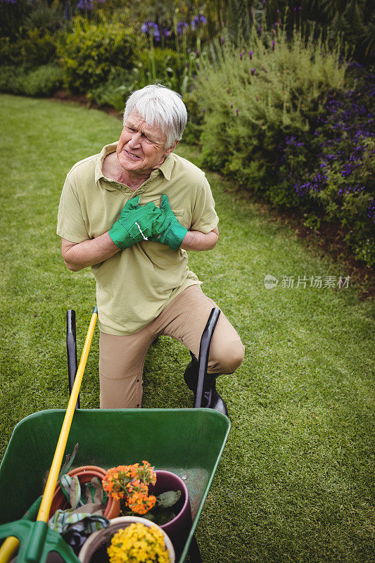 老人在园艺时遭受痛苦