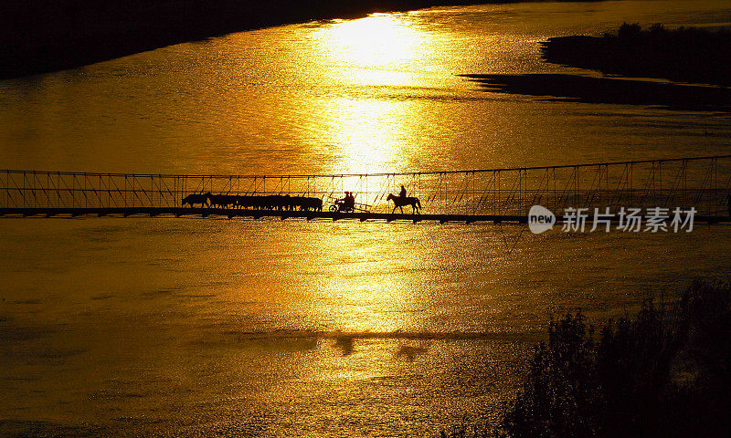 牛过吊桥，黄金时刻景色，中国新疆风光。