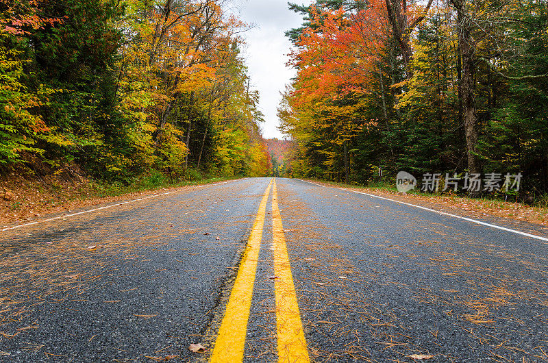空旷的道路穿过森林山在秋天