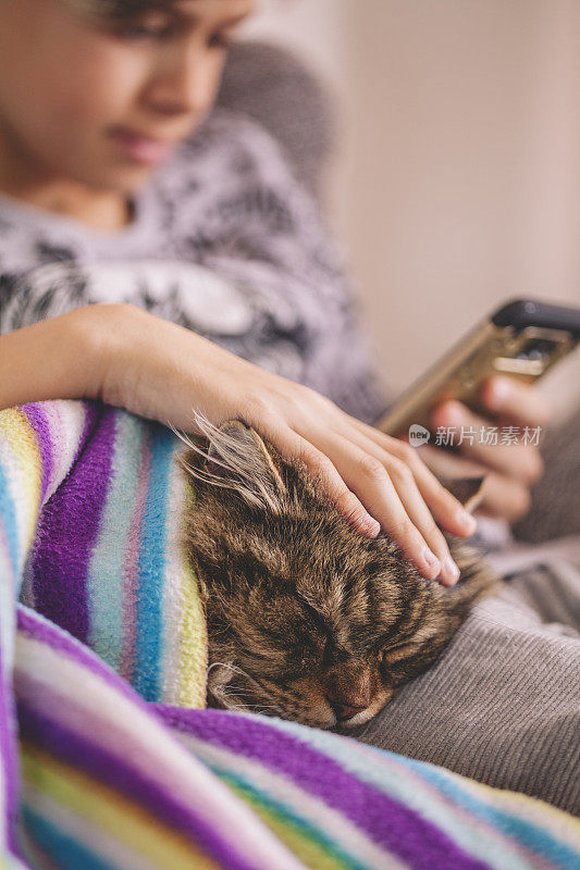 男孩的猫