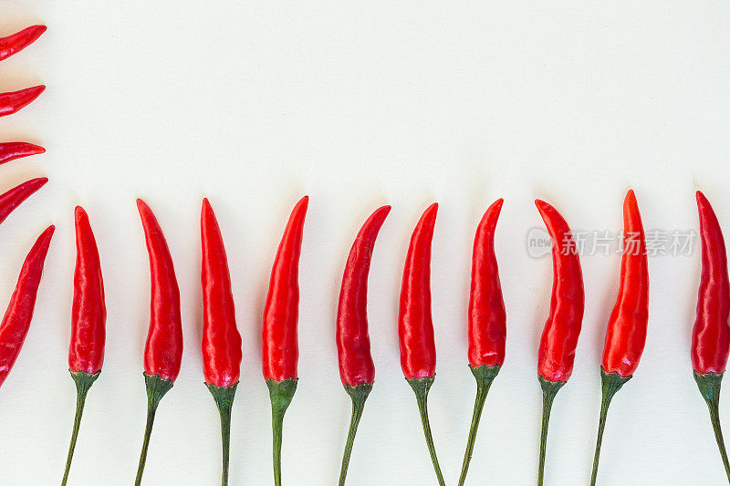 红辣椒，流行的香料概念-在白色的背景上垂直堆叠一排红辣椒豆荚，俯视图，平铺，为你的文字自由空间