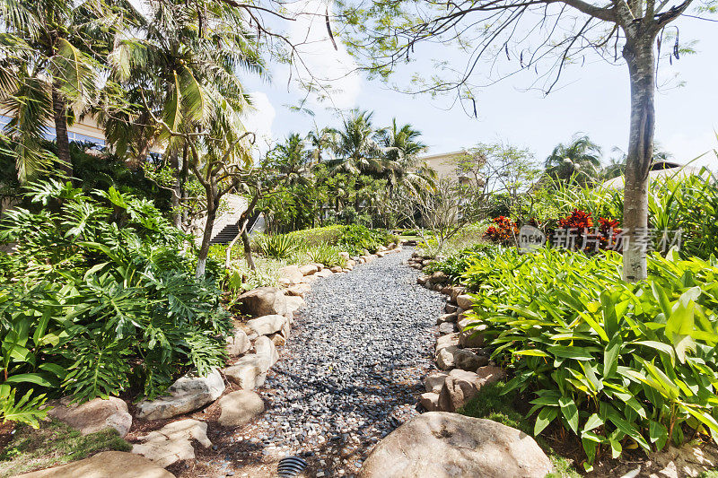 热带花园中铺着灰色卵石的小路