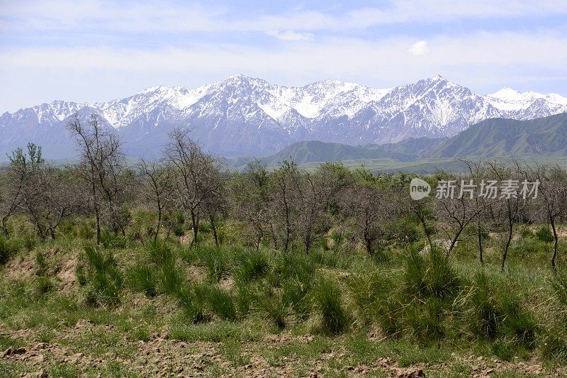 中国甘肃张掖的祁连山