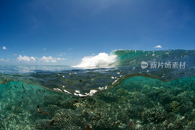 浪击礁