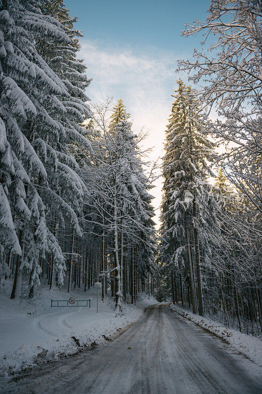 森林里的雪路