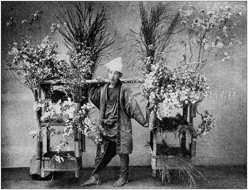 古董黑白照片环游世界:日本花商