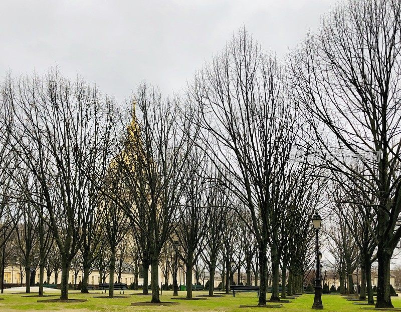 荣军院穿过树林。巴黎