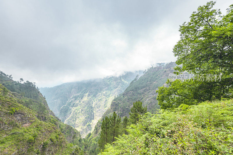 马德拉岛的埃拉多塞拉多高山上的景色