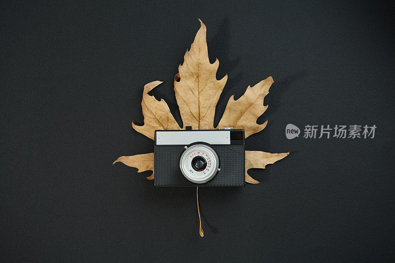 前视图的一个老式模拟胶片相机和干燥的叶子在黑色的背景