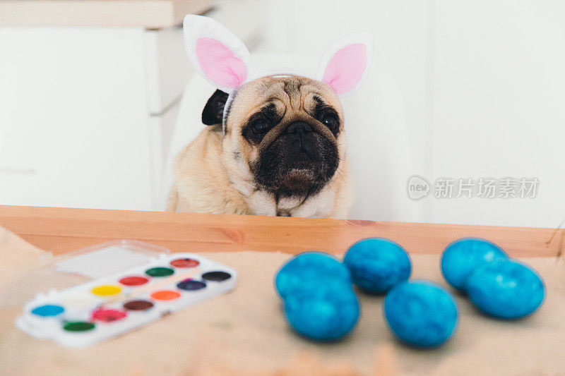 漂亮的小兔子正在做复活节彩蛋和装饰品