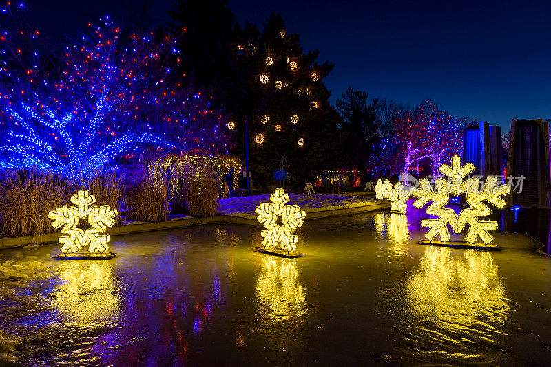 灯光秀-在丹佛植物园的一个冰冻的池塘里，一场彩色的灯光秀庆祝节日季节。美国科罗拉多州丹佛市。