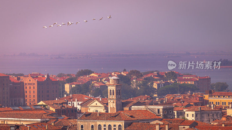 一群鸟儿飞过威尼斯城市的天际线屋顶——意大利