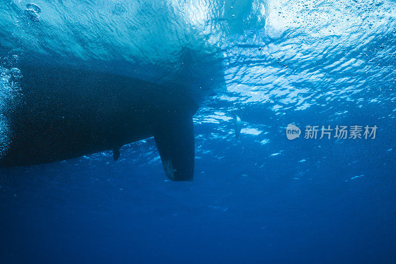 浮在水面上的船的视图