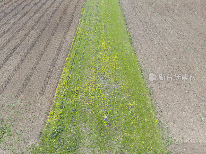 初春时节，戴着牛仔帽的农民在农田里劳作