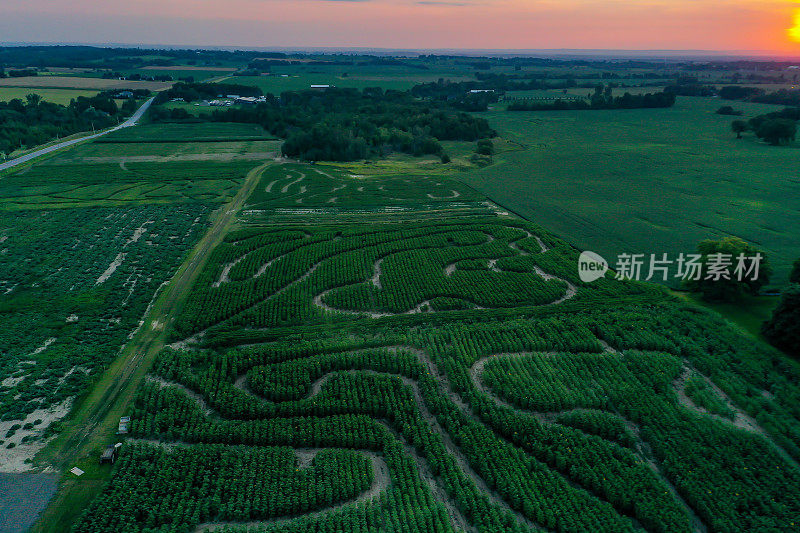 加拿大库克敦，夕阳下27号公路上的农场