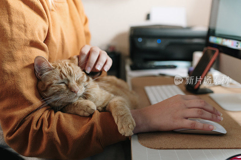 一个女人坐在桌子上抚摸着一只猫