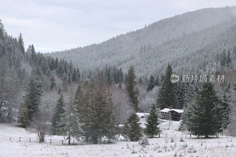 新雪覆盖的森林山谷